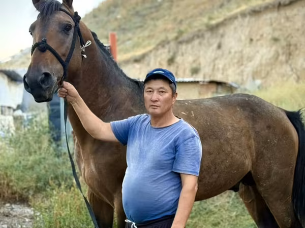 Horse (M), French Trotter