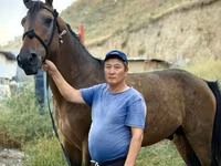 Cheval, French Trotter — photo 1
