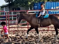 Mare, American paint horse — photo 8