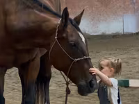 Kobyła, Quarter Horse — zdjęcie 4