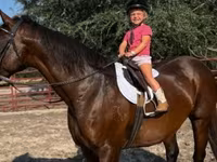 Mare, Quarter Horse — photo 7
