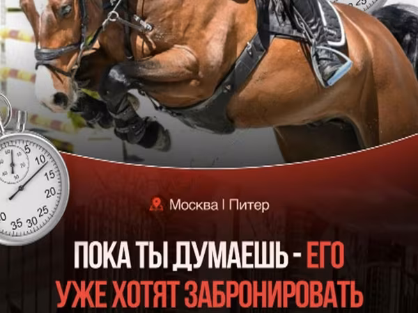 Horse (M), Horses