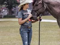 Horse (M), Quarter Horse — photo 5